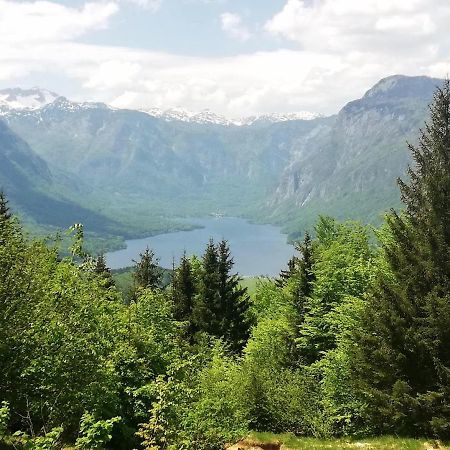 Apartment Ana Bohinj Esterno foto