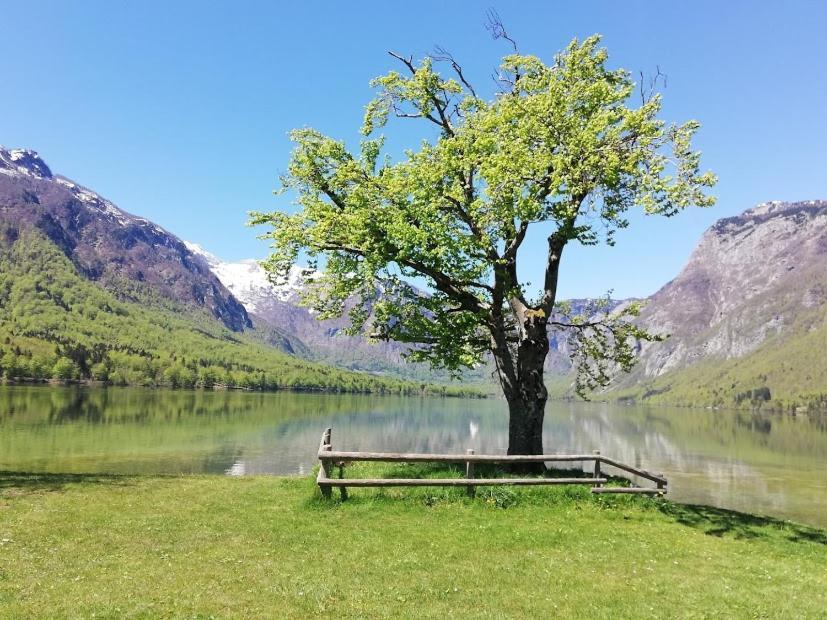 Apartment Ana Bohinj Esterno foto