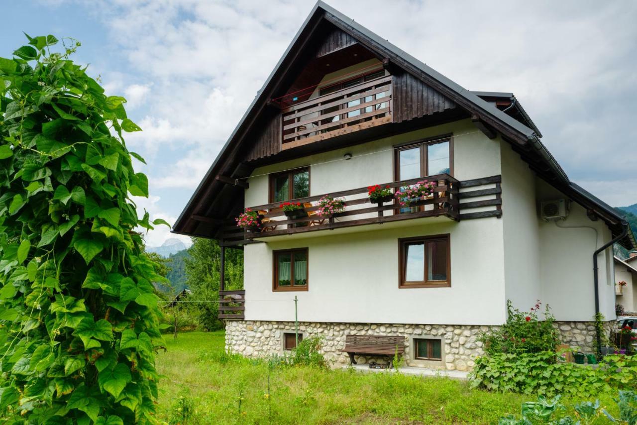Apartment Ana Bohinj Esterno foto